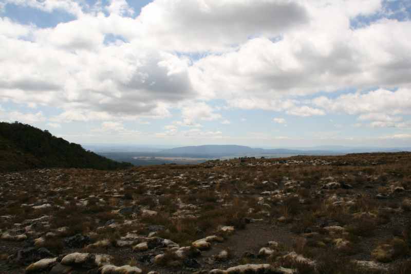 Nieuw-Zeeland 2011 - 0867